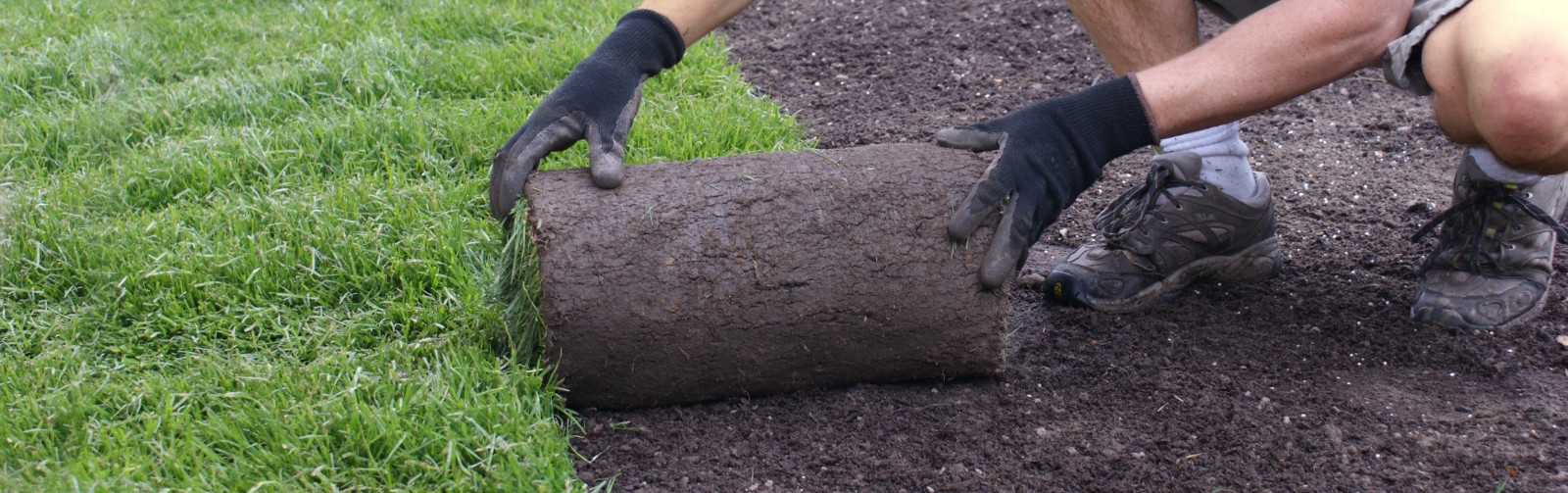 Rollrasen Ingolstadt